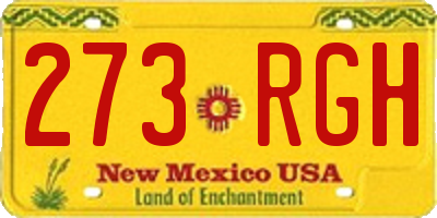 NM license plate 273RGH