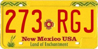 NM license plate 273RGJ