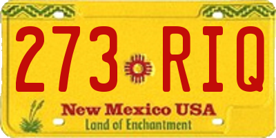 NM license plate 273RIQ