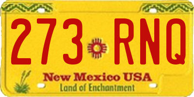NM license plate 273RNQ