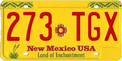 NM license plate 273TGX