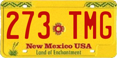 NM license plate 273TMG