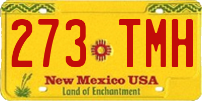 NM license plate 273TMH