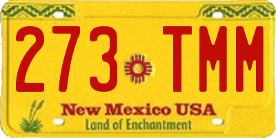 NM license plate 273TMM