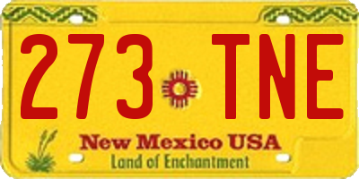 NM license plate 273TNE