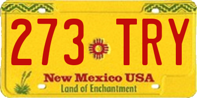 NM license plate 273TRY