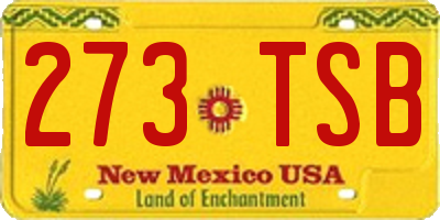 NM license plate 273TSB