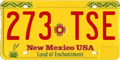 NM license plate 273TSE