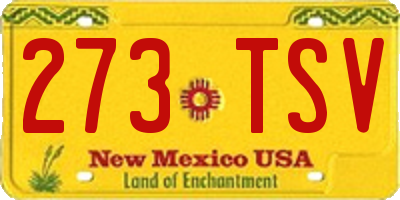 NM license plate 273TSV