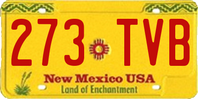 NM license plate 273TVB