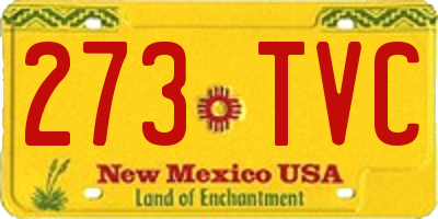 NM license plate 273TVC