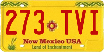 NM license plate 273TVI