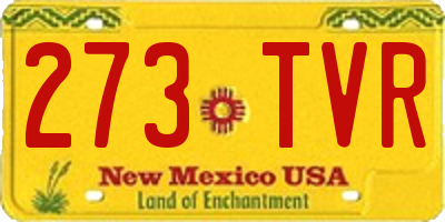 NM license plate 273TVR