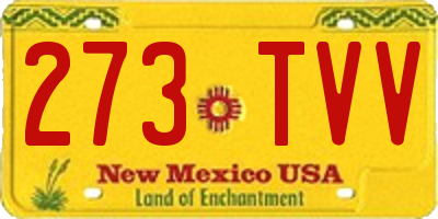 NM license plate 273TVV
