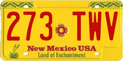 NM license plate 273TWV