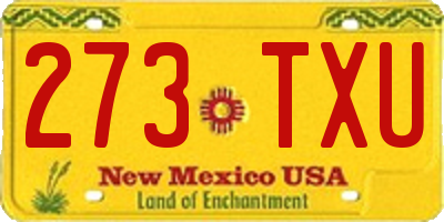 NM license plate 273TXU