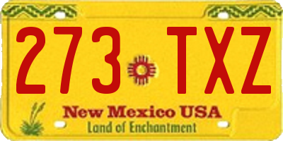 NM license plate 273TXZ