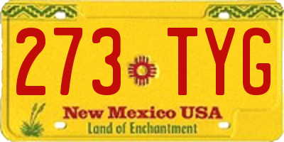 NM license plate 273TYG