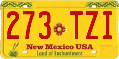 NM license plate 273TZI