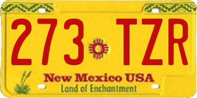 NM license plate 273TZR