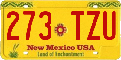 NM license plate 273TZU