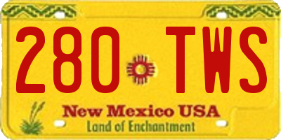 NM license plate 280TWS