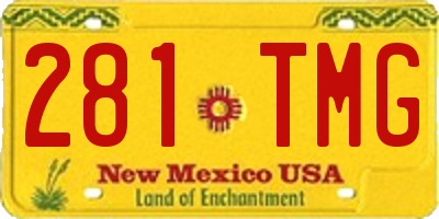 NM license plate 281TMG