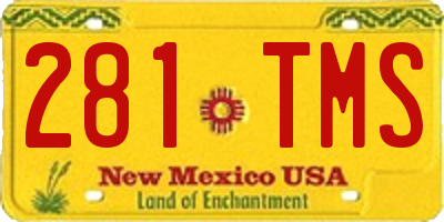 NM license plate 281TMS