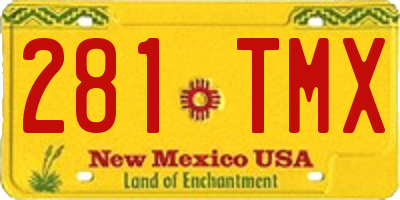 NM license plate 281TMX