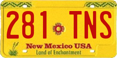 NM license plate 281TNS