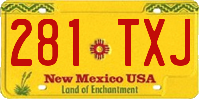 NM license plate 281TXJ