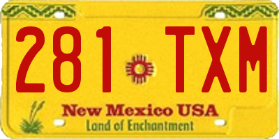NM license plate 281TXM