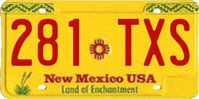 NM license plate 281TXS
