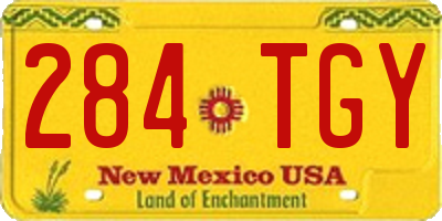 NM license plate 284TGY
