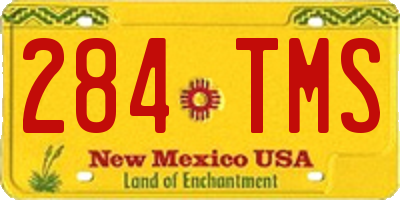 NM license plate 284TMS