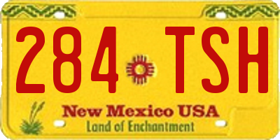 NM license plate 284TSH