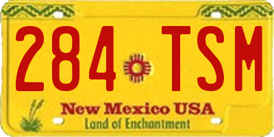 NM license plate 284TSM