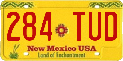 NM license plate 284TUD