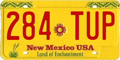 NM license plate 284TUP