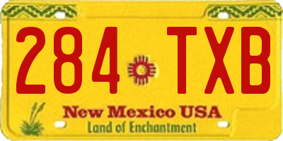 NM license plate 284TXB