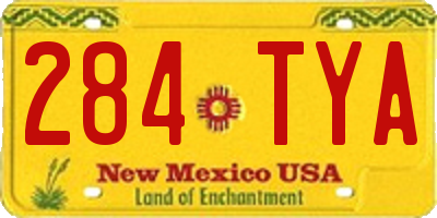 NM license plate 284TYA
