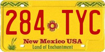 NM license plate 284TYC