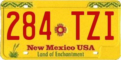 NM license plate 284TZI