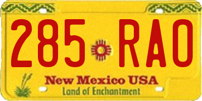 NM license plate 285RAO