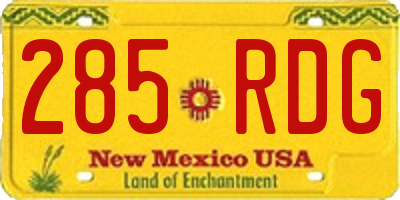 NM license plate 285RDG