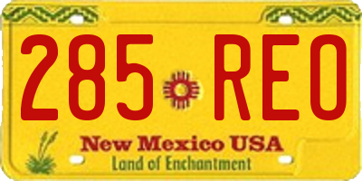NM license plate 285REO