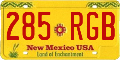NM license plate 285RGB