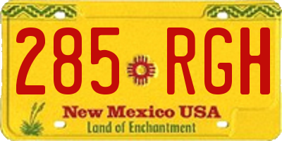 NM license plate 285RGH