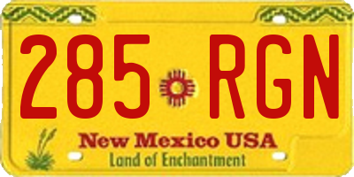 NM license plate 285RGN