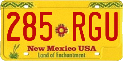 NM license plate 285RGU